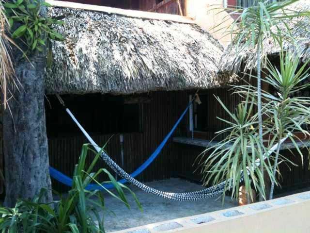 Mayan Hostel Канкун Екстериор снимка